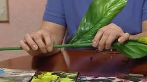 Лилии: размножение черенками и луковицами