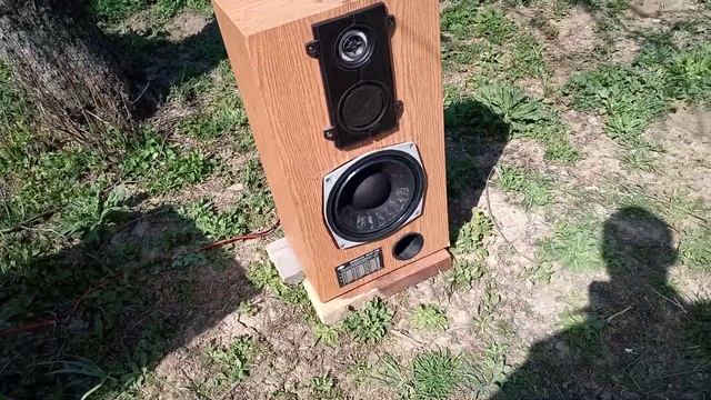 Акустика 35АС-018 "Амфитон" играет на открытом воздухе после замены подвесов на НЧ смотреть онлайн