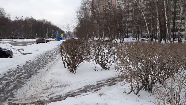 Подари любимой цветы смотреть онлайн