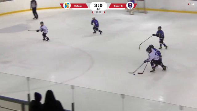 Кобрин - Брест Б. Хоккей в Пружанах. Прямая трансляция 03.11.2021 2ый день 2ая игра. смотреть онлайн