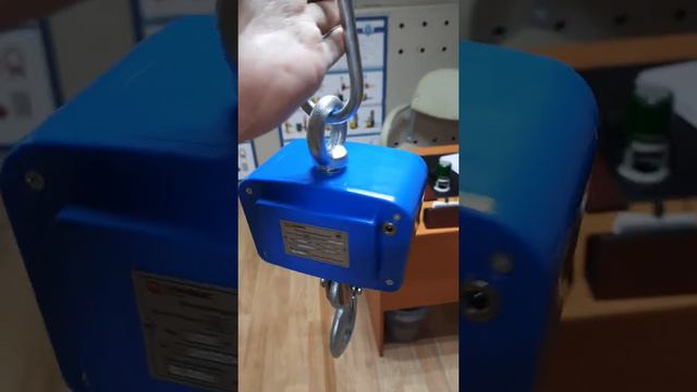 Весы крановые КВ-100-А(В) смотреть онлайн