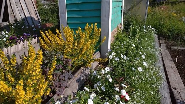 Сухая отмостка возле дома с дренажной канавой//Наталья Харитонова смотреть онлайн