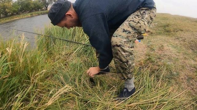 Осенний жор КАРАСЯ в ветреную погоду. Щука на червя. смотреть онлайн