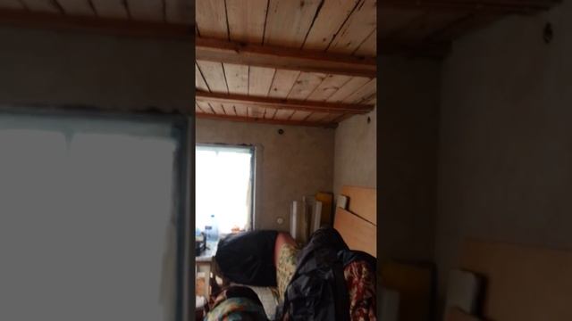 Дача звезда смотреть онлайн