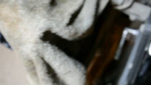 Выставляем метки ГРМ и зажигание на VW T4 1.9D