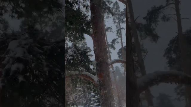 😱Как такое возможно? Мини копии настоящих животных смотреть онлайн