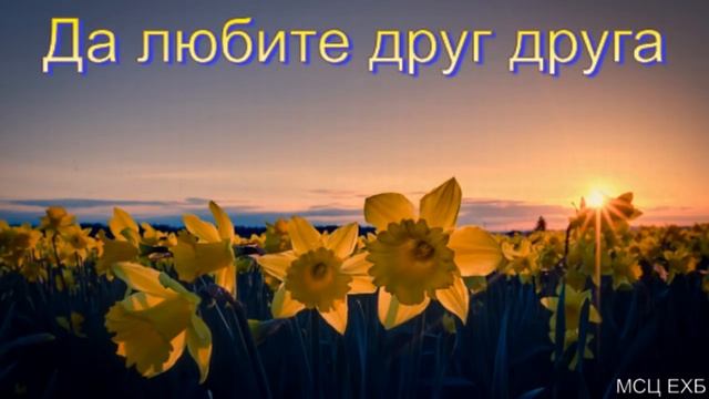 "Да любите друг друга". П. П. Чолак. МСЦ ЕХБ смотреть онлайн