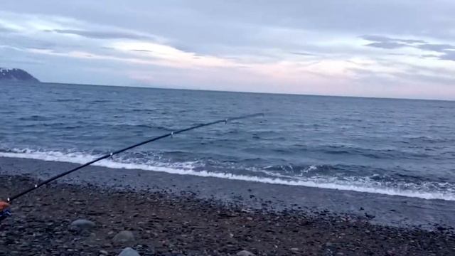 Ловля камбалы Магаданская область Охотское море смотреть онлайн