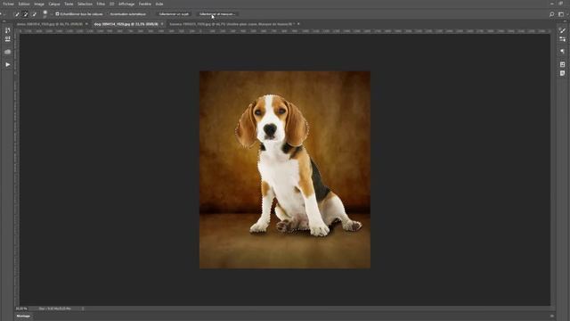 Nouveauté Photoshop : Sélection de sujet смотреть онлайн