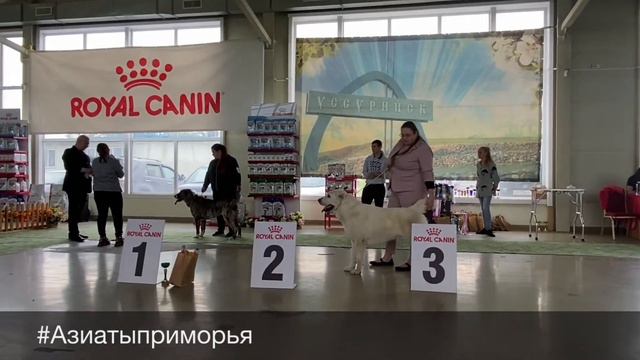 МОНО САО. УССУРИЙСК. 15.05.21 смотреть онлайн