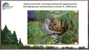 Баргузинский заповедник