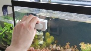 3 вида скребков для чистки аквариумного стекла. Выбираем лучший.