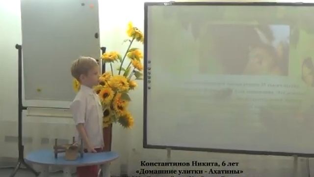 Домашние улитки Ахатины