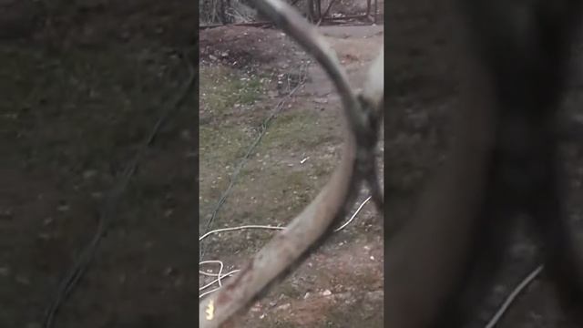 Мега мощный ветряк, жду когда начнут вылазить червяки и кроты от вибраций :) смотреть онлайн