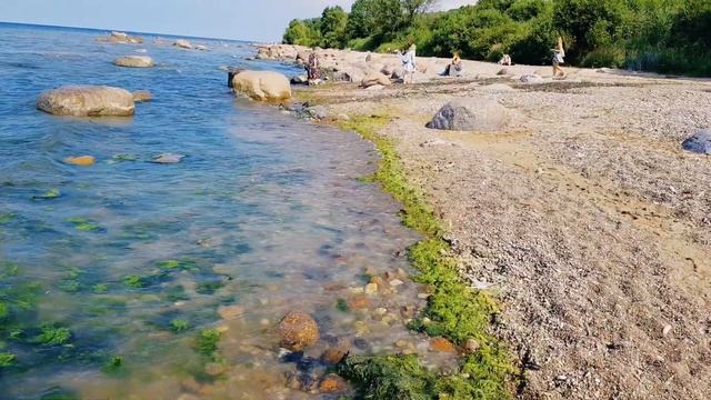 почему мы не купаемся на пляже АА? чисто ли в Эстонии в местах отдыха людей? смотреть онлайн