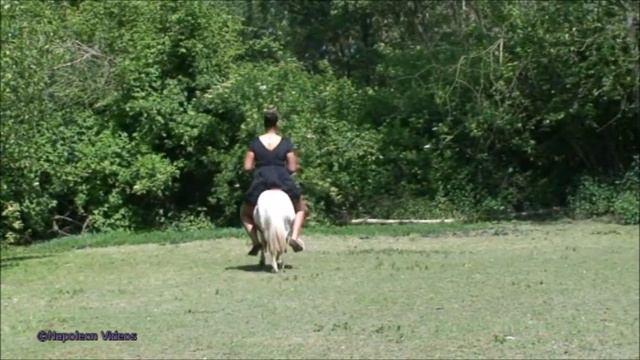 Pony Riding _ Pony Reiten 1 смотреть онлайн
