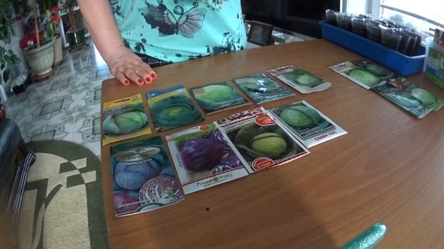 КАПУСТА, ПОРА СЕЯТЬ НА РАССАДУ, позднюю,среднюю, краснокачанную. смотреть онлайн