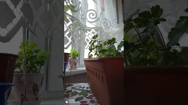 Какая погода сейчас в Москве Беляево и ДеЖавю смотреть онлайн