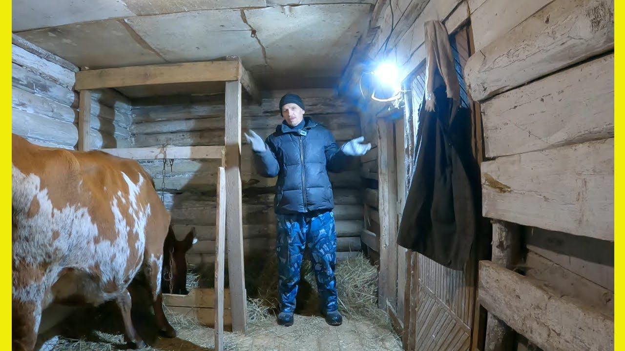 ПОКУПКА КОРОВЫ // Неожиданный поворот нашей деревенской жизни! смотреть онлайн