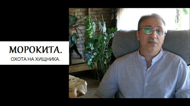 экстра-ментальное сознание2.mp4 смотреть онлайн