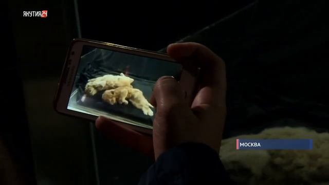 Фестиваль РГО 2019 в Зарядье «Открываем Россию заново! Вместе» смотреть онлайн