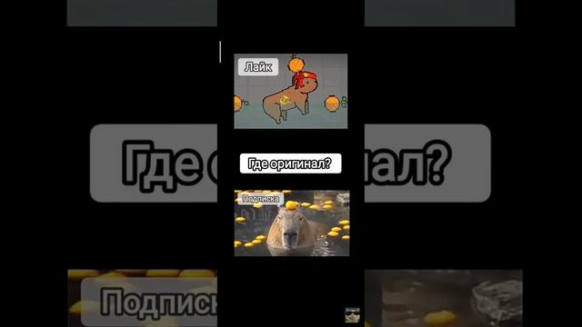 какибара #прикол смотреть онлайн