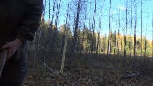 Привада для зайца