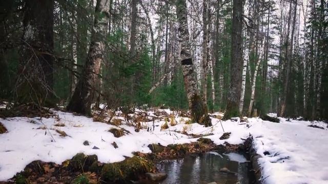 Куда съездить на 1 день на Урале. Национальный парк "Зюраткуль". Самое высокогорное озеро на Урале. смотреть онлайн