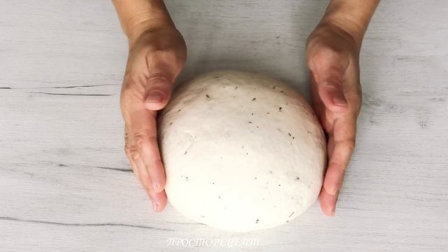 Домашние Животные и Их Уход