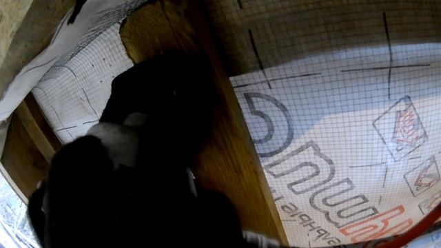 НЕ ПОКУПАЙТЕ нейлер, пока не посмотрите это видео!