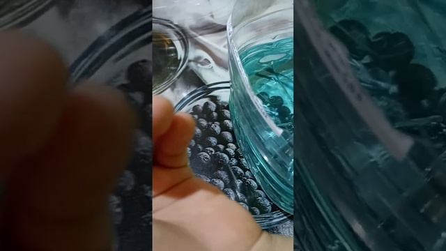 нерест данио в домашних условиях. смотреть онлайн