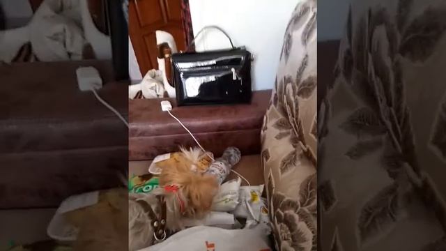 подготовка к поездке в Москву. смотреть онлайн