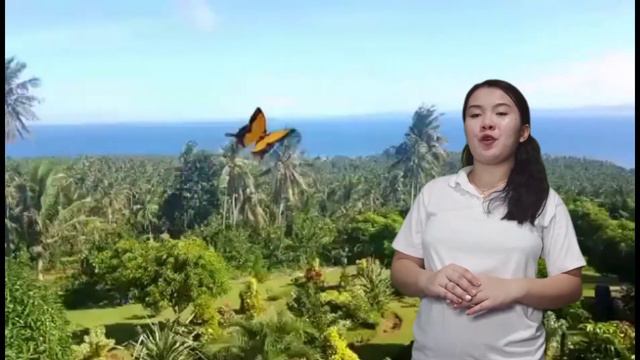CANAAN HILLS FARM AND HONEY GARDEN | AGRITOURISM SITE IN EASTERN VISAYAS смотреть онлайн