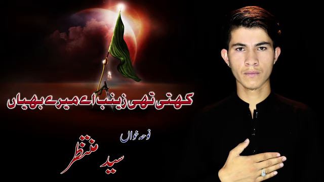 کہتی تھی زینب اے میرے بھیا، الوداع جاو با میدان#Sayed Muntazir #New Noha 2022,3#kalam Raza Bangash смотреть онлайн