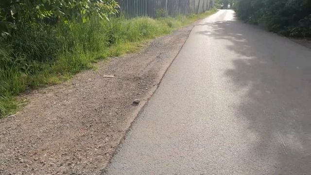 Vespa hpe 300 vs Yamaha T max 500 vs Honda SH300 drag racing смотреть онлайн