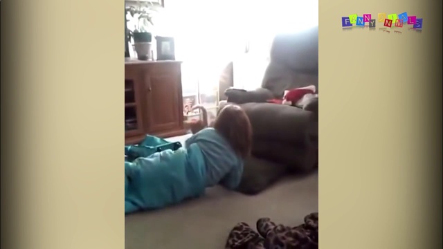 Приколы с котами! Ржачные ситуации с кошаками. смотреть онлайн