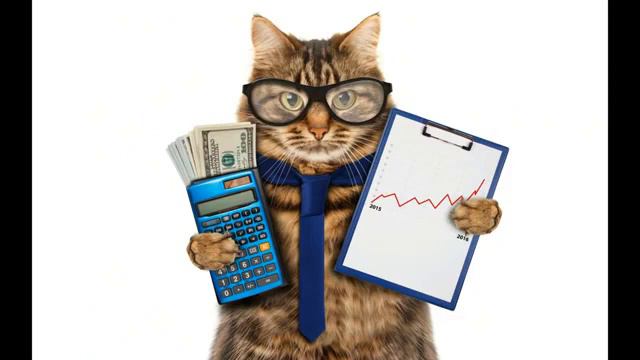 Приколы с котами и смешная озвучкой животных – Коты и магия смотреть онлайн