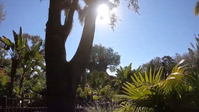 Animal Kingdom And Expedition Everest