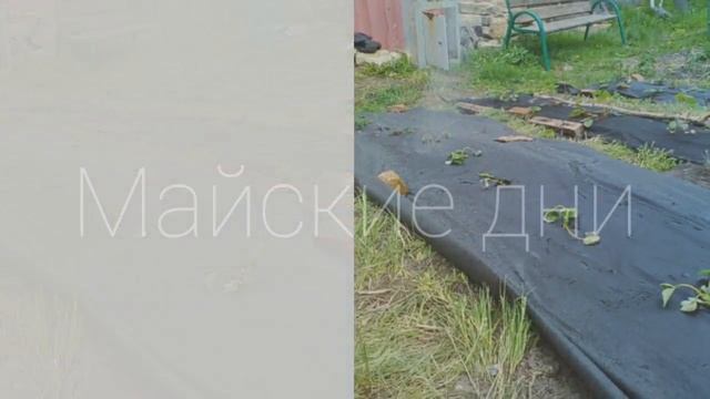 Майские фоточки смотреть онлайн