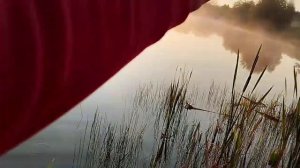 Ловля канадского сома! Рыбалка на 3 фидера, 2 поплавочные удочки и спиннинг.