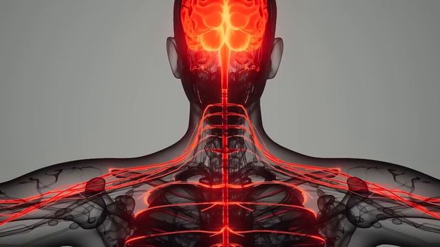 The INSANE things Rabies does to your body [WITH VIDEOS] смотреть онлайн
