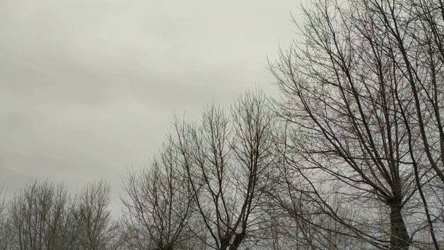 26 января ЕРМИЛОВ ДЕНЬ . народные приметы и традиции смотреть онлайн