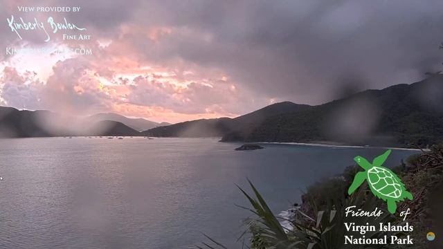 Ophanim angel , golden dragon, heavenly sight.???⚡️??✨??? part #1 смотреть онлайн