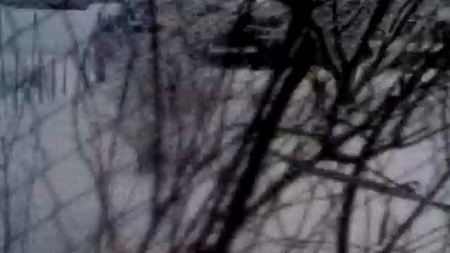 Берендеево царство. В декабре на даче. смотреть онлайн