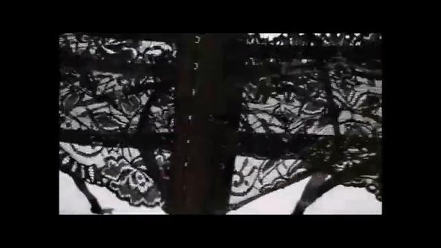 Пояс для чулок с застежкой #shorts смотреть онлайн