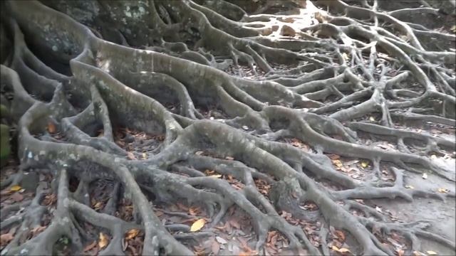 Бали. Загадочная Слоновая Пещера. Путешествие по Индонезии смотреть онлайн