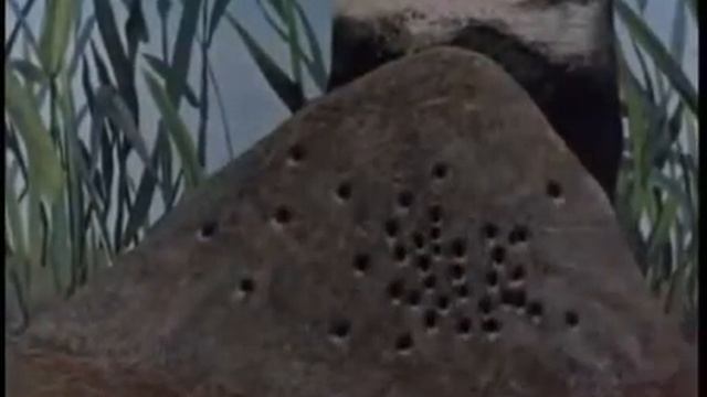 так мурашки бегают по телу! ))))