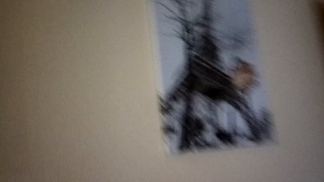 Мой дом в Новосибирске...!!!!!