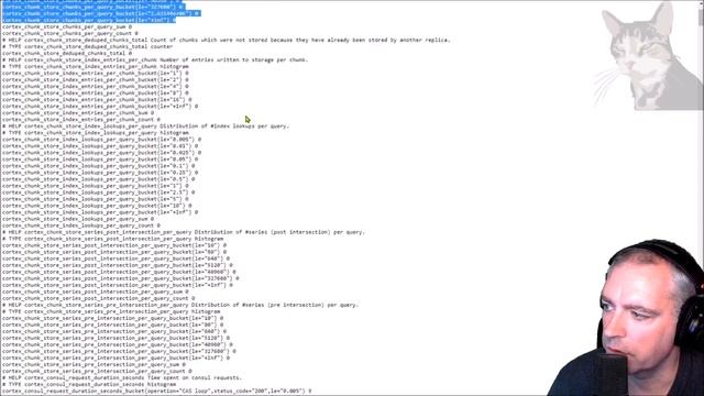 Install Loki Binary and Start as a Service in Grafana 7 смотреть онлайн