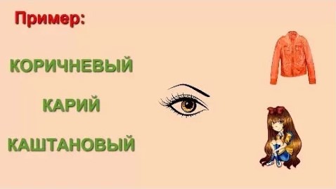 Русский язык 5 класс Омонимы синонимы и антонимы Русский язык 5 класс смотреть онлайн
